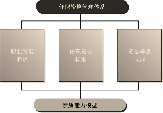 任职资格管理体系的构成