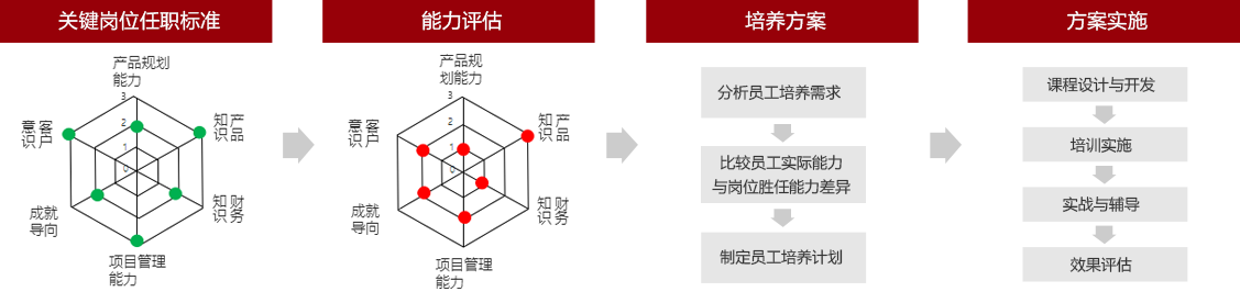  定制化关键人才培养方案体系框架